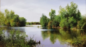 Картина Тихая заводь 004024